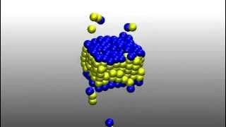 Self Assembly of Lipid Bilayer Membrane [upl. by Raoul804]