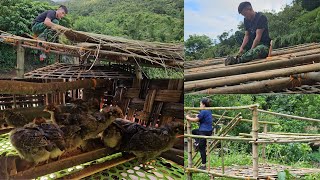 DIY Bamboo Chicken Coop amp Thatch Roof A Natural Solution for Farmers  Tà Xuà Daily Life [upl. by Trev661]