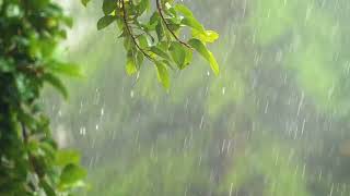 Ambient Sound Focus Music Peace and Concentration Music rainingday [upl. by Keese810]