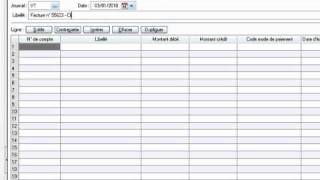 Vidéo n° 3 La saisie des écritures comptables [upl. by Fredek]