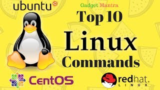 Top 10 Linux Commands That Everyone Should Know [upl. by Oiracam]