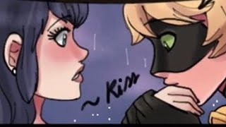 Unseen Marichat Scene P2  Miraculous Ladybug Comic Dub [upl. by Fricke]