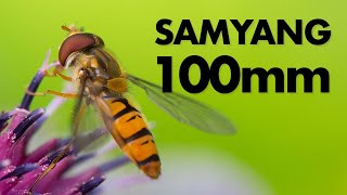 Samyang 100mm f28 Macro Lens Review – Still a good purchase in 2021 [upl. by Brose248]