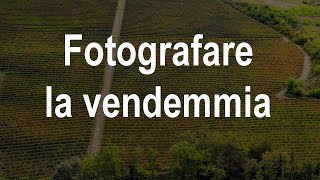 Fotografare la vendemmia [upl. by Eilyk116]