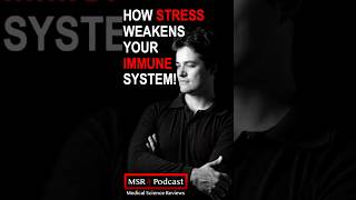 How Stress Weakens Your Immune System shorts shortsfeed msrpodcast [upl. by Gram]