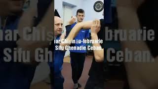 Shortage from Ving Tsun Kung Fu intensive training in Moldova 2019 wingchun philippbayer ipman [upl. by Nnyllatsyrc]