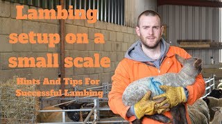 Lambing On A Small Scale Hints And Tips For Successful Lambing [upl. by Pittman484]