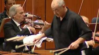 Ney Rosauro  Marimba Concerto No1 Mvmt2 Lamento performed by Roland Härdtner 2010 [upl. by Eaner657]