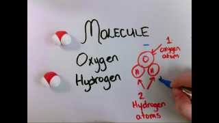 Water Polarity Adhesion and Cohesion [upl. by Mcarthur]