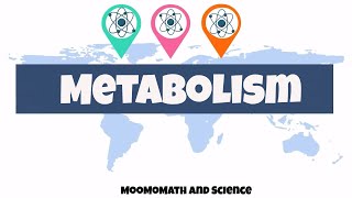 introduction to metabolism  Biology basics [upl. by Norven]