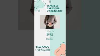 1 Kaigo Japanese Caregiver vocabulary every day 介護士 言葉 [upl. by Merissa890]