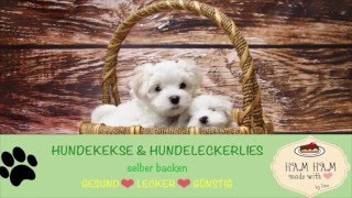 Hundekekse Selber Backen  Die gesündesten Rezepte für deinen Hund [upl. by Avictor]