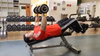 Decline Dumbbell Bench Press  Chest Exercise [upl. by Giavani]