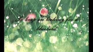 Joni James  April Showers With Lyrics [upl. by Aremihc]