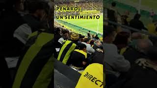 PEÑAROL UN SENTIMIENTO [upl. by Intruok]