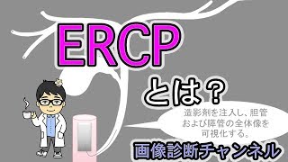 医療用語のERCPとは？図を用いてわかりやすく解説！ [upl. by Ahsienal]