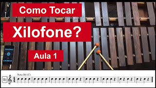 Como Tocar Xilofone  Aula 1  Notas Dó C e Lá A [upl. by Capello]