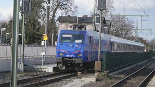 Eisenbahnverkehr in Meerbusch Osterath Mit Br 648 145 442 294 186 TRI RB 37 [upl. by Morril790]