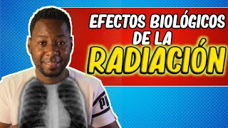 EFECTOS biológicos de la RADIACIÓN  radiación ionizante ALFA BETA Y GAMMA  Química desde Cero [upl. by Nairoc]