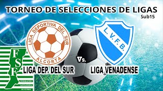 240713 Torneo Selecciones de Ligas Sub15  Liga Deportiva del Sur vs Liga Venadense [upl. by Iyre439]