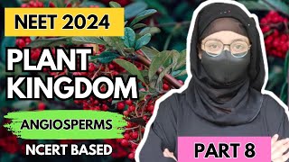 Plant kingdom  Angiosperms  Class 11 biology chapter 3 neet2024 biology neet neetbiology [upl. by Ethelinda]