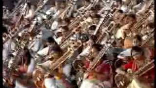 Sitar  Guinness World Record [upl. by Ynolem600]