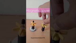 DIY Powerful Magnets science experiment with magnets [upl. by Anayet441]