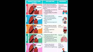 Adventitious lung sounds [upl. by Atinaw]