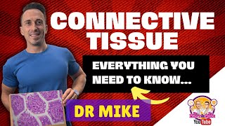 Connective Tissue  Everything you need to know [upl. by Auberta]