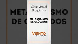 Repaso de bioquímica  METABOLISMO DE GLÚCIDOS [upl. by Atsiuqal]