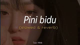 pini bidu song slowed amp reverb Tally Music [upl. by Emearg505]