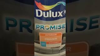 Dulux PROMISE paints wallartisthd dulux painting aqua [upl. by Enneira]