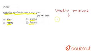 Gibberellins were first discoverded in fungal genus [upl. by Leirvag]