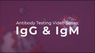 Antibody Testing IgG and IgM explained [upl. by Ancier805]