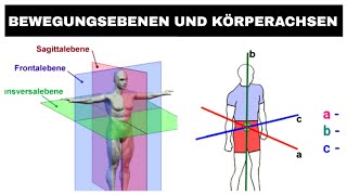 Körperachsen und Bewegungsebenen Erklärvideo [upl. by Cran]