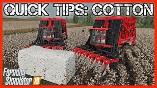 QUICK TIPS COTTON  Farming Simulator 19 [upl. by Yodlem]