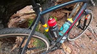 TREK CHECKPOINT ALR 5 FOREST REVIEW [upl. by Doggett]