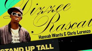 Dizzee Rascal X Hannah Wants amp Chris Lorenzo  Stand Up Tall Bassline Grime Bootleg [upl. by Zacharia]