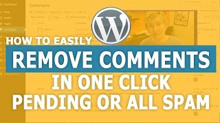 How to Remove Comments in WordPress  All in One Click [upl. by Cherey386]