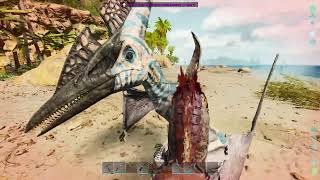 ARK Survival Ascended  Ep04  Pteradon tamed [upl. by Fowle]