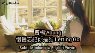 曹楊 Young  慢慢忘記你是誰 Letting Go  Subtitle Indonesia English Pinyin [upl. by Assel470]