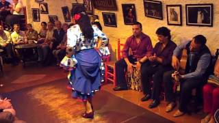 Flamenco Dance by Spanish Gypsies Part 3 [upl. by Ecnahoy249]