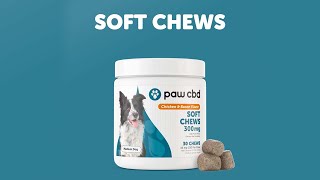 Paw CBD Soft Chews for Dogs [upl. by Atwekk16]