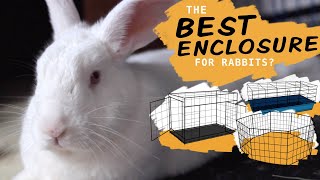 Rating Rabbit Enclosures What Habitat is Best [upl. by Ainafetse]