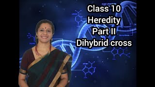 Biology Class 10 Hereditary Part 2 Dihybrid Cross [upl. by Milas736]