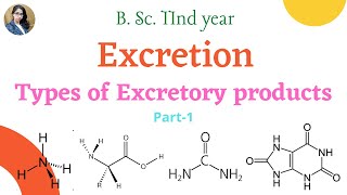 Types of Excretory products  B Sc 2nd year  Zoology [upl. by Domash545]