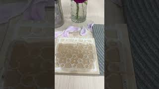 Water Absorption Test on Ceramic vs Porcelain Tiles [upl. by Rick82]