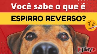 ESPIRRO REVERSO Veterinário explica como identificar os sintomas e tratálos [upl. by Enier465]