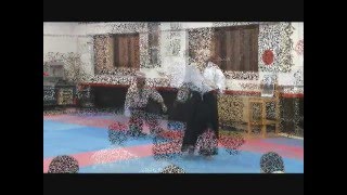 Michele Quaranta sensei  Promo clip [upl. by Aguste]