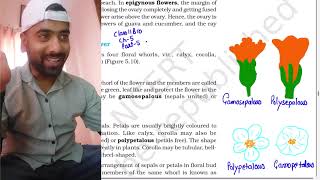 Morphology of flowering plants part 5Class 11Parts of flower  NEET AestivationPlacentation [upl. by Fania]